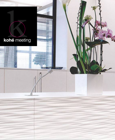 Kohé meeting loue des salles d'exception à Lyon