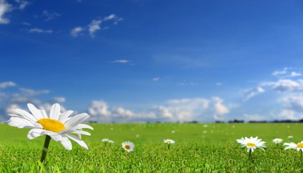 Qu'est ce qu'une véranda bioclimatique?