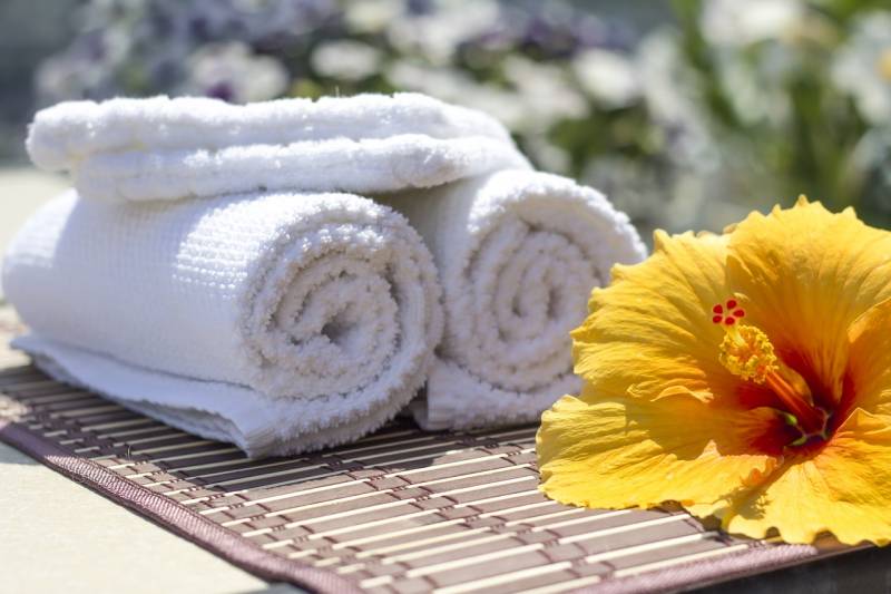 Vente et installation de spa de nage en extérieur à Dax