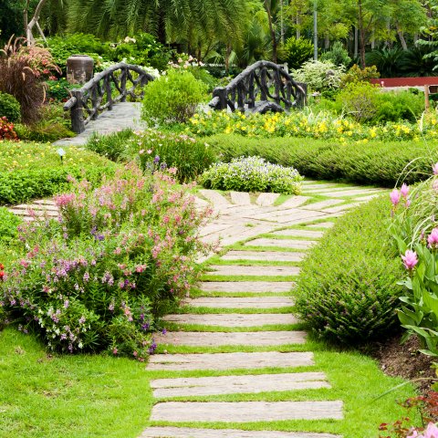 Choisir entre le Substrat et les Mélanges Terreux pour votre jardin