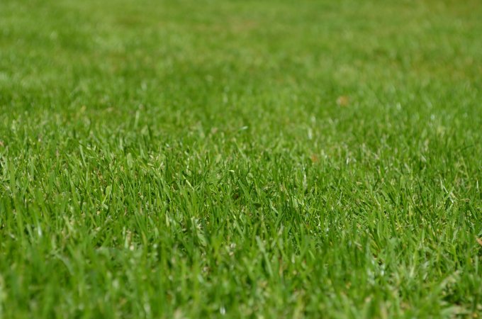 Comment préparer son terrain caillouteux pour planter du gazon synthétique de qualité?