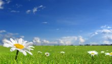 Qu'est ce qu'une véranda bioclimatique?
